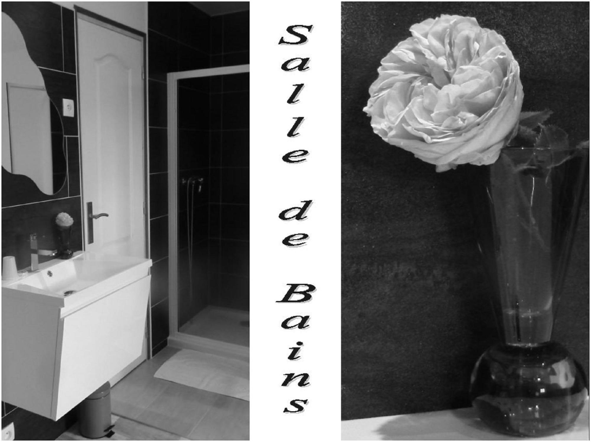 La Bastide Du Moulin - Mont St Michel Bed & Breakfast Moidrey Rom bilde